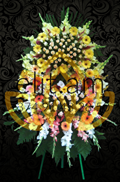 Բնական Ծաղկեպսակ Հերբերաներով